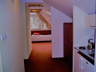 Отели типа «постель и завтрак» Willa Potok Крыница-Здруй Апартаменты с 2 спальнями, балконом и мини-кухней (для 4 взрослых)-13